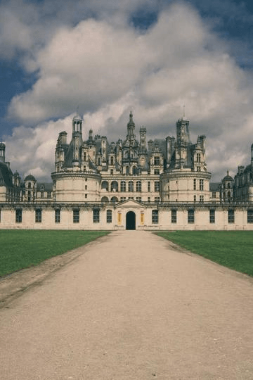 Organic Flow - Professional showcase