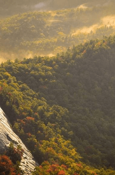 Urban Symphony - Professional showcase