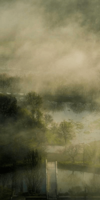 Intimate Moments - Professional showcase