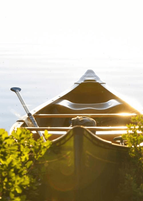 Vertical Perspectives - Professional showcase