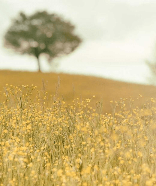 Emotional Depth - Professional showcase