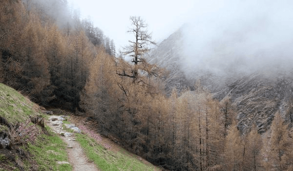 Cinematic Vision - Professional showcase