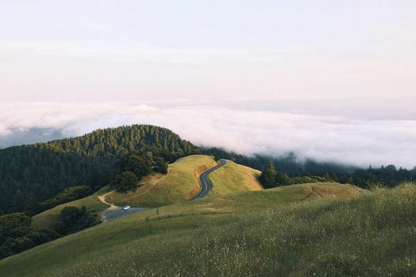 Natural Landscapes - Professional showcase