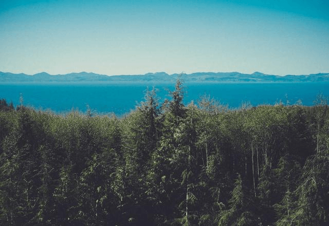 Light & Shadow - Professional showcase