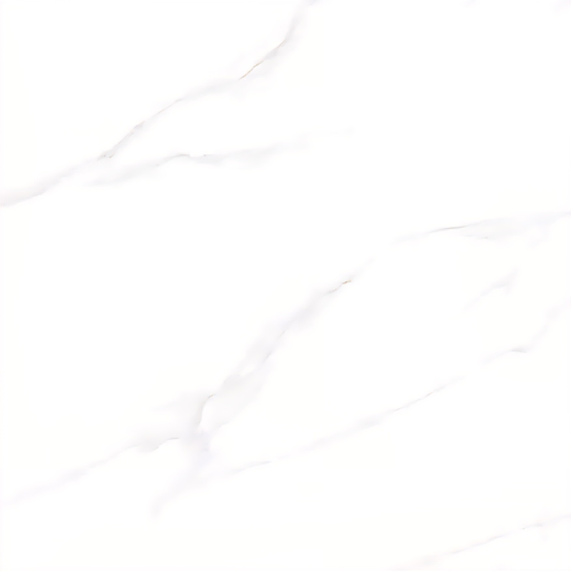 Gạch bóng 100x100cm 100LU11G009 - 100LU11G009 - map 1