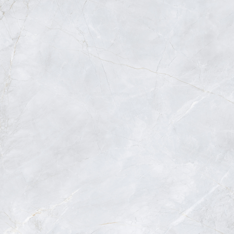 Gạch lát nền 1000x1000 100LU1251 - 100LU1251 - map 2