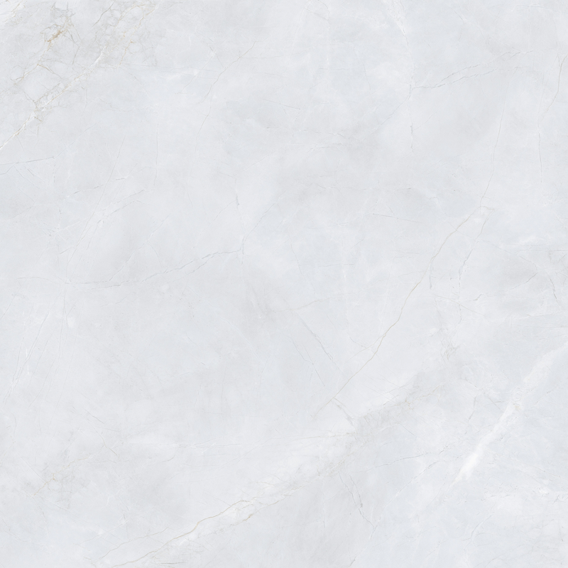 Gạch lát nền 1000x1000 100LU1251 - 100LU1251 - map 4