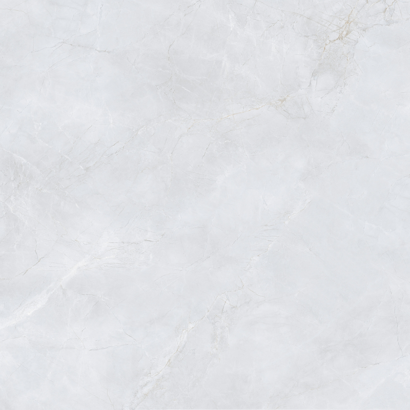 Gạch lát nền 1000x1000 100LU1251 - 100LU1251 - map 5
