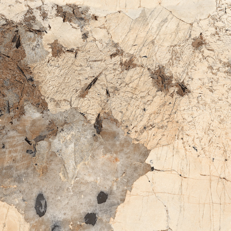 Gạch vân đá vàng 120x120 120LUE-PA-BR - 120LUE-PA-BR - map 1