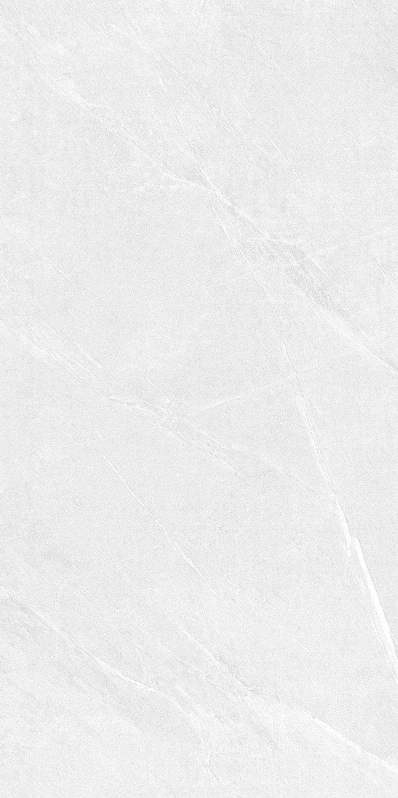 Gạch 30x60 360LUARCELI BIANCO - 360LUARCELI BIANCO - map 5