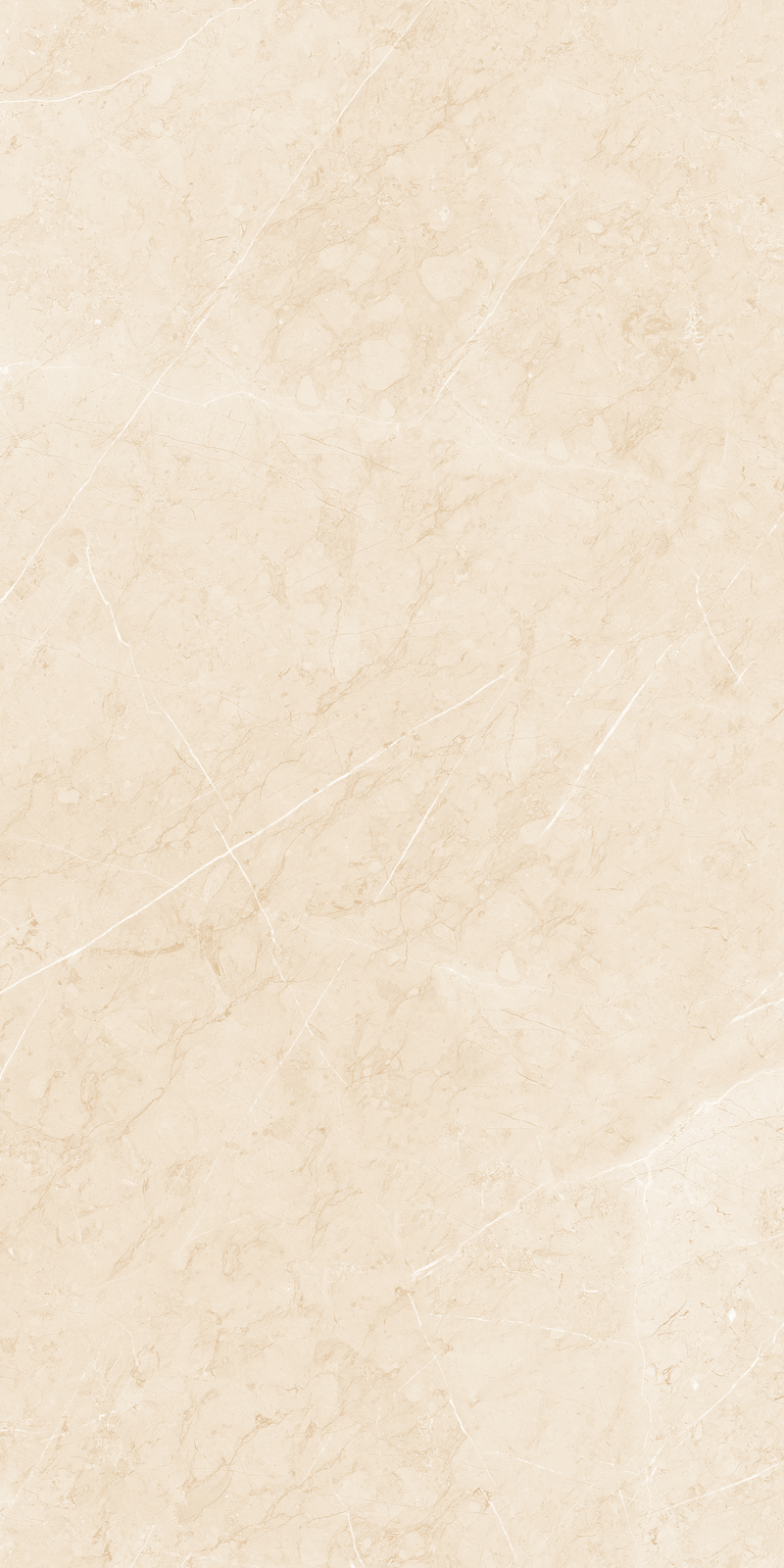 Gạch 30x60 360LUEMPRESS BEIGE - 360LUEMPRESS BEIGE - map 6