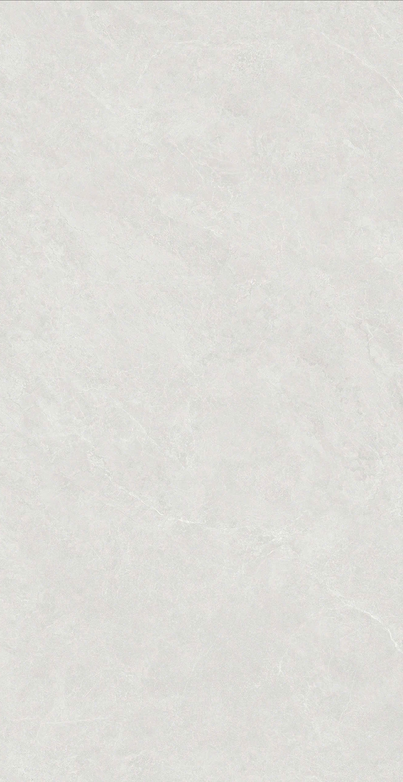 Gạch mờ 400x800 480LU48010A - 480LU48010A - map 1