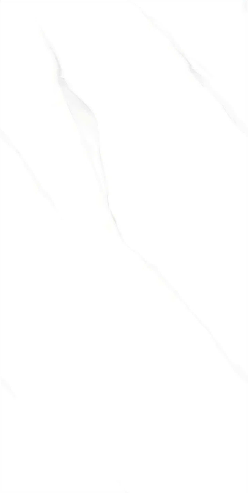 Gạch mờ 400x800 480LU48013A - 480LU48013A - map 2