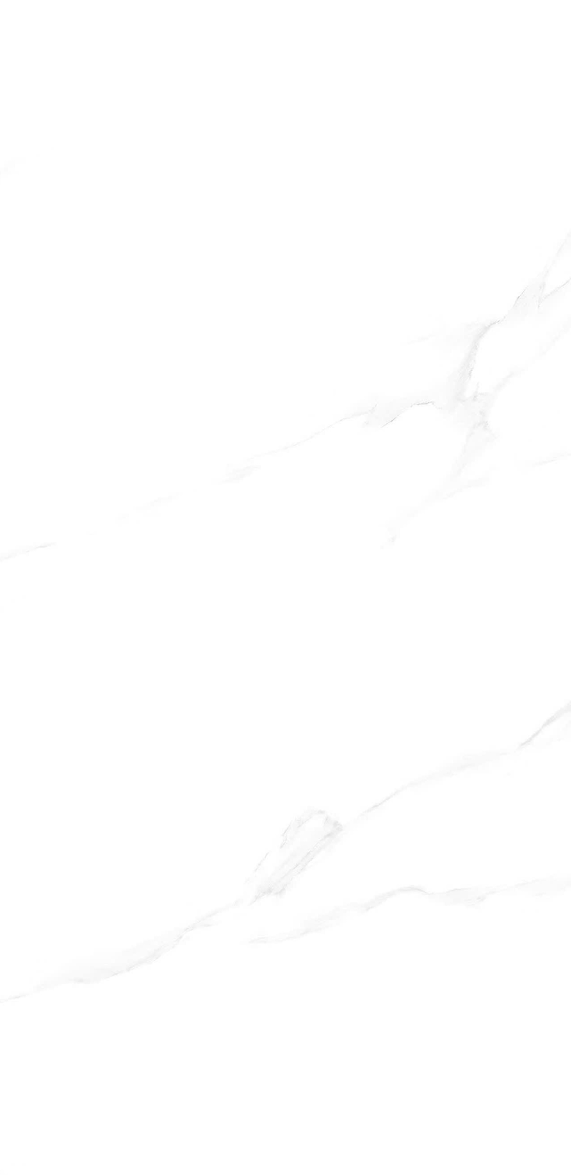 Gạch bóng 400×800 480LU48014A - 480LU48014A - map 4