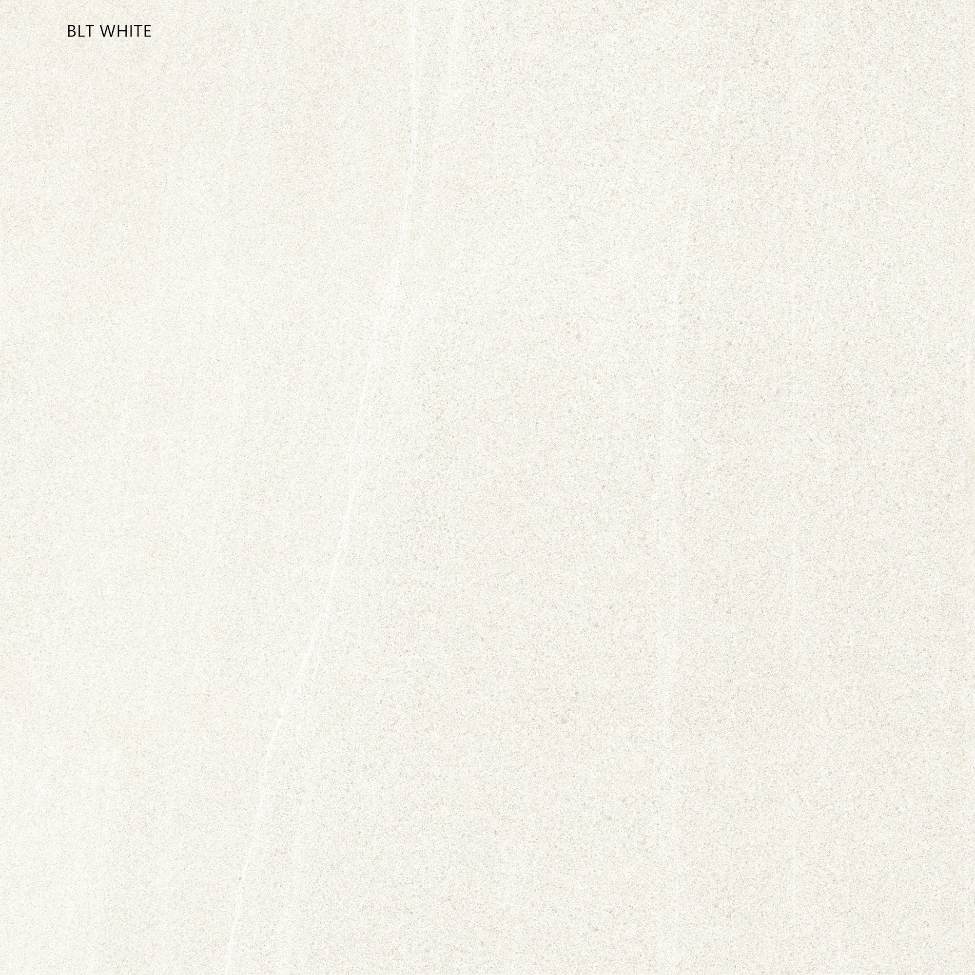 Gạch 60x60 60LUBLT-WHITE - 60LUBLT-WHITE - map 1