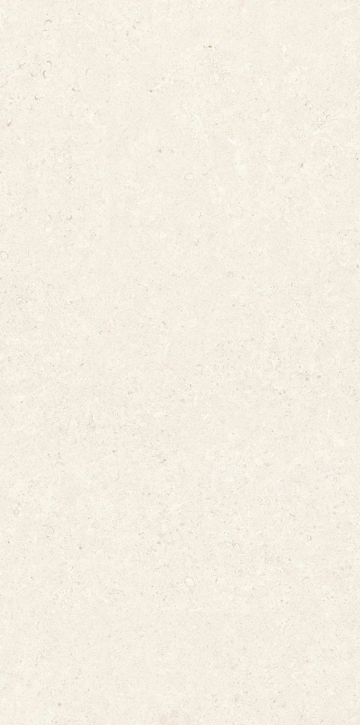 Gạch giả đá 60×120 612LI-CR - 612LI-CR - map 1
