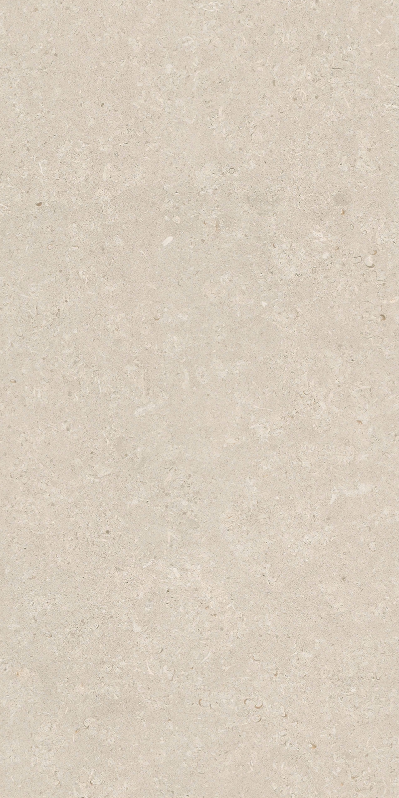 Gạch 60x120 men matt 612LI-EA - 612LI-EA - map 2