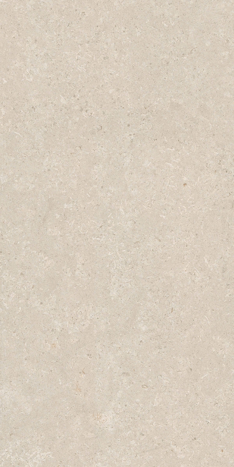 Gạch 60x120 men matt 612LI-EA - 612LI-EA - map 3
