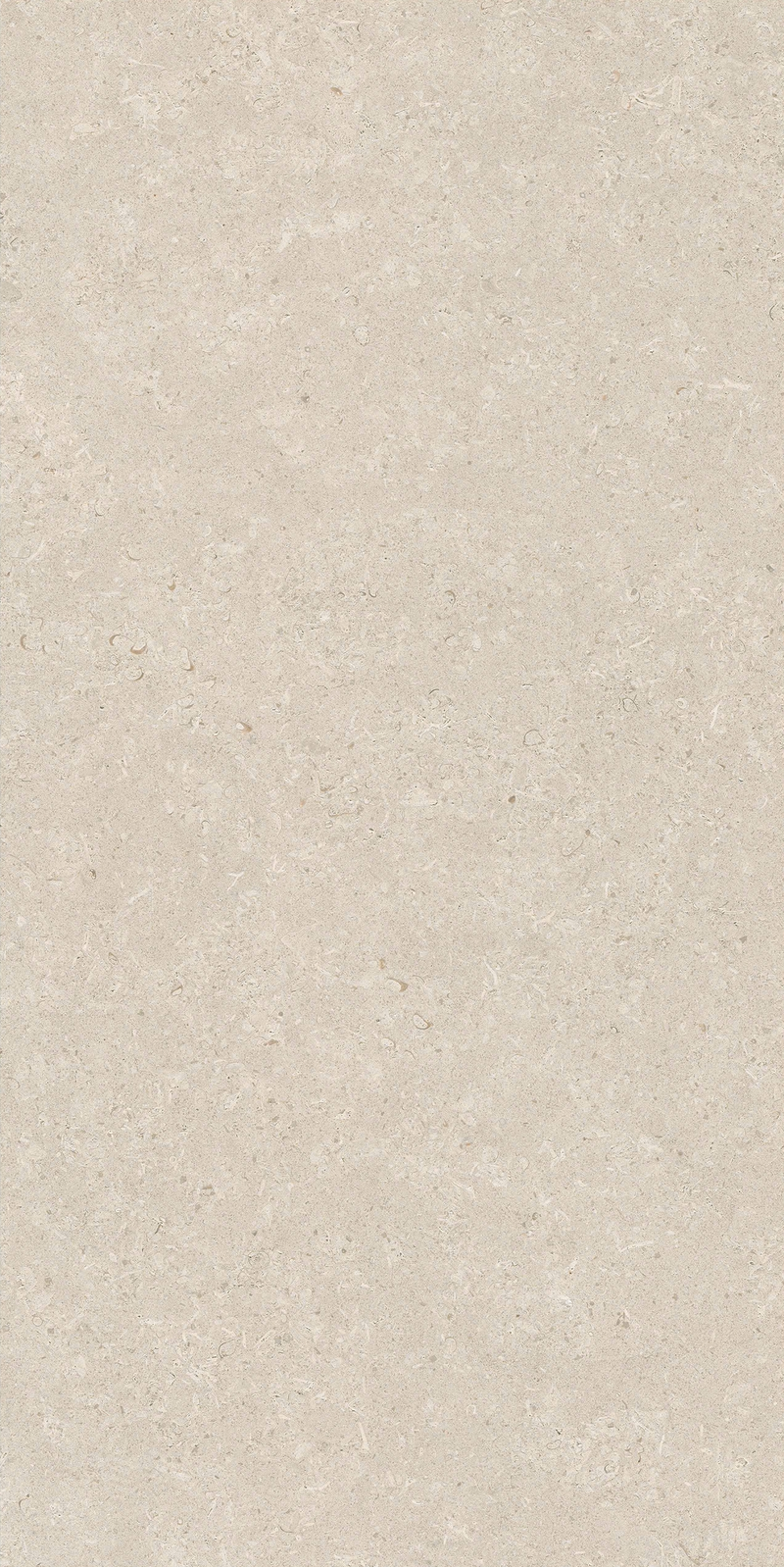 Gạch 60x120 men matt 612LI-EA - 612LI-EA - map 4