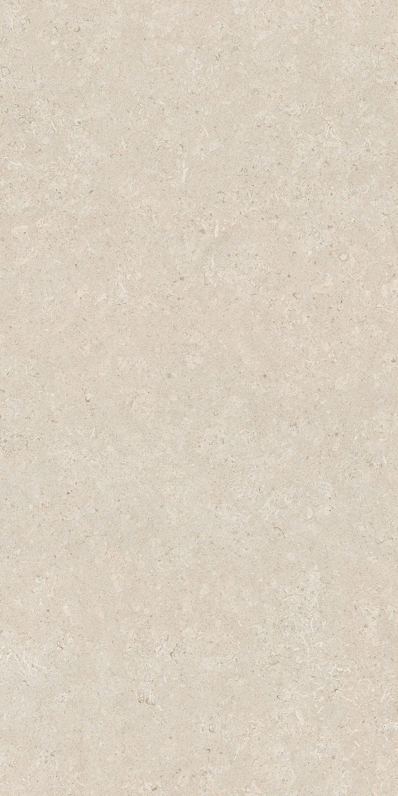 Gạch 60x120 men matt 612LI-EA - 612LI-EA - map 5