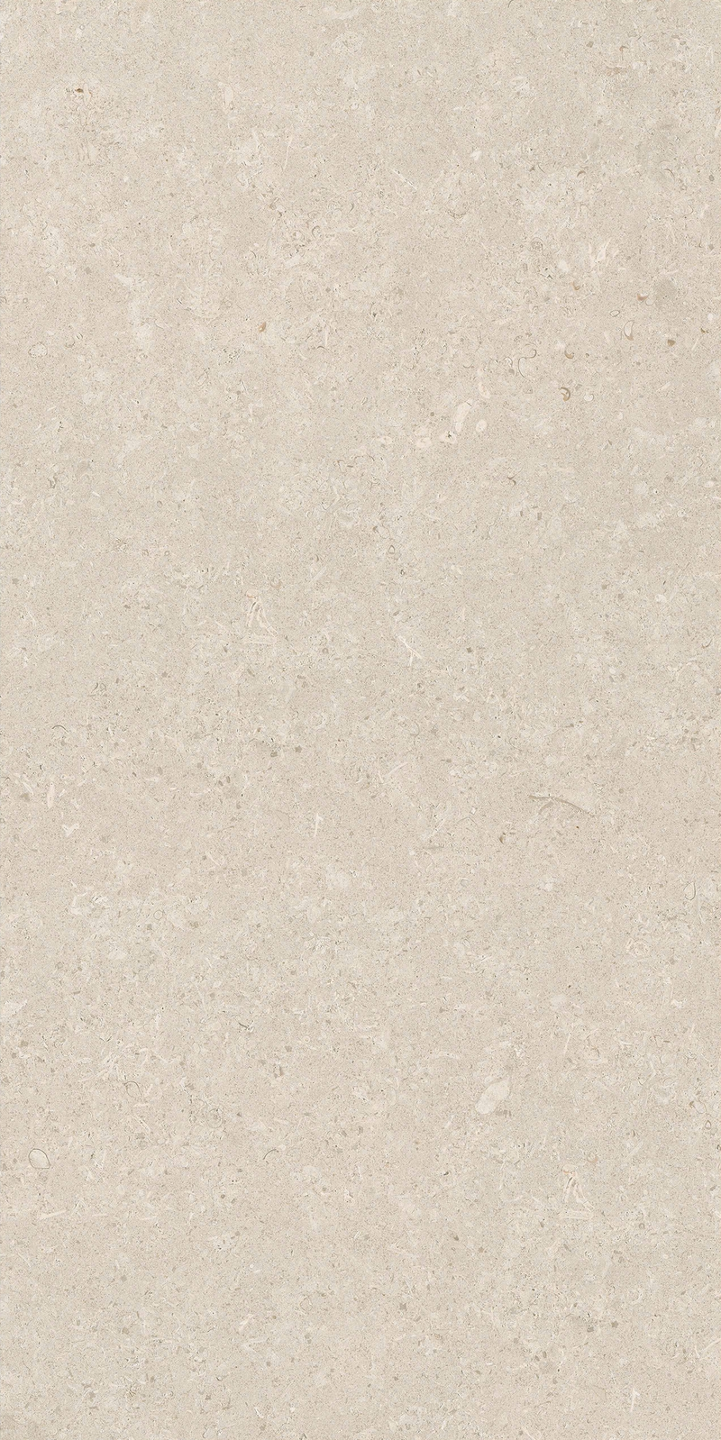 Gạch 60x120 men matt 612LI-EA - 612LI-EA - map 6