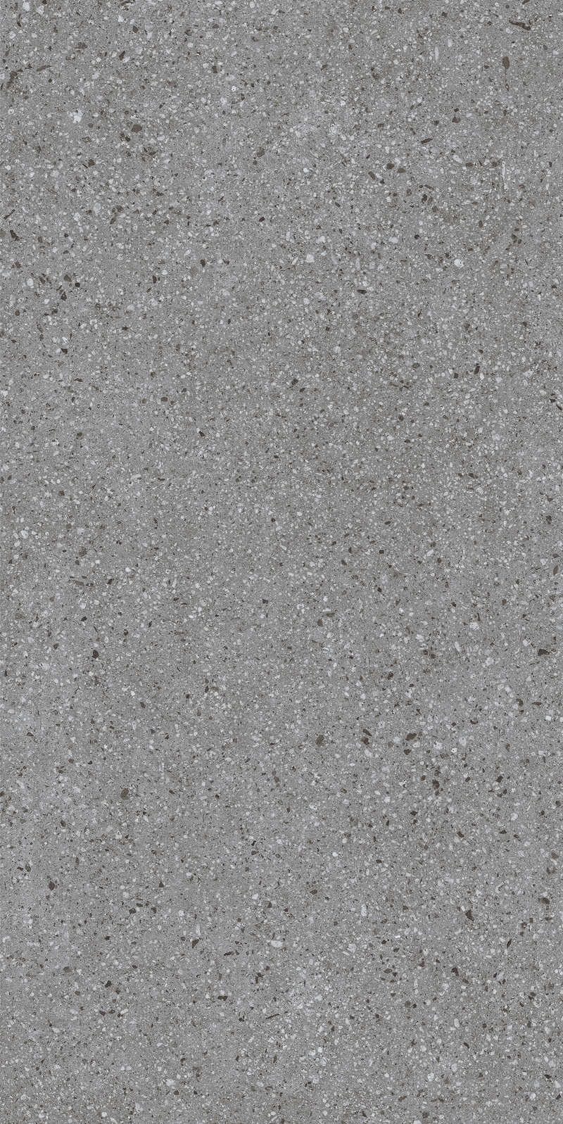 Gạch terrazzo 60x120 612LU1207P - 612LU1207P - map 3