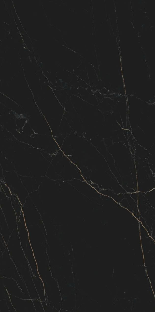 Gạch đen vân vàng 60x120 612LU12T666 - 612LU12T666 - map 1
