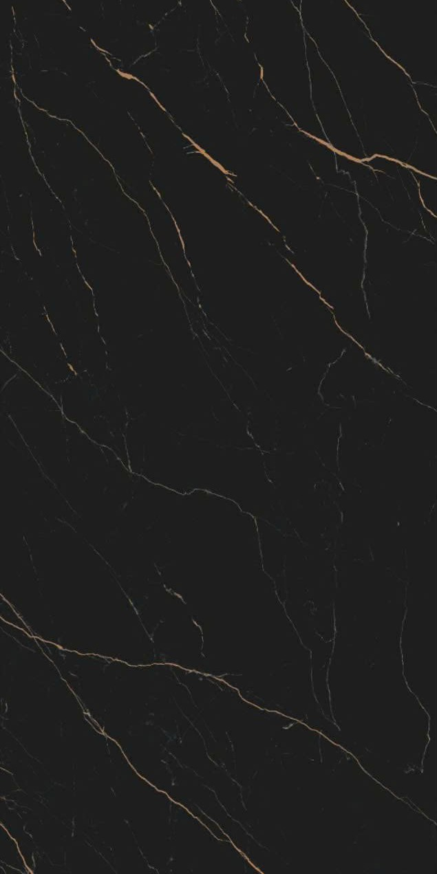 Gạch đen vân vàng 60x120 612LU12T666 - 612LU12T666 - map 4