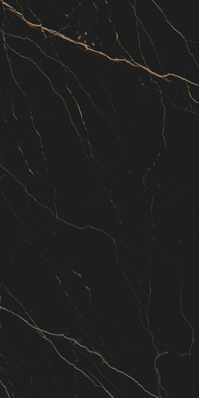 Gạch đen vân vàng 60x120 612LU12T666 - 612LU12T666 - map 5