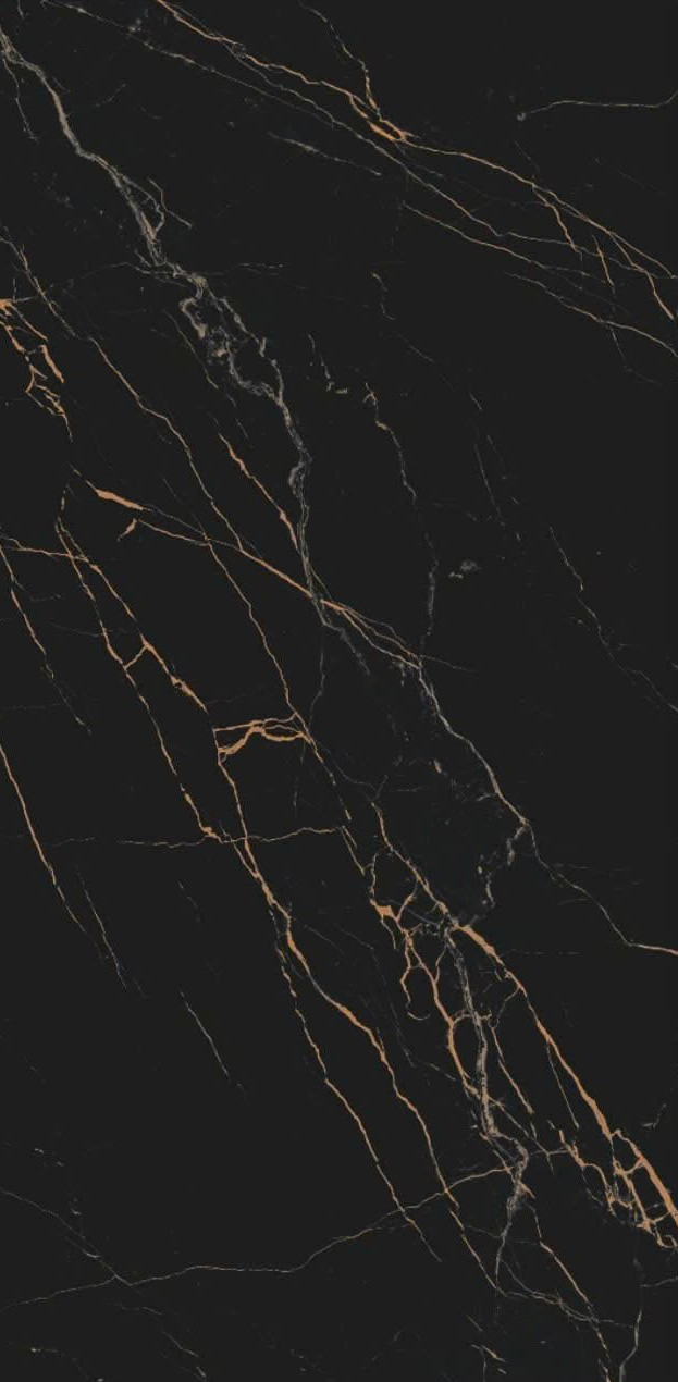 Gạch đen vân vàng 60x120 612LU12T666 - 612LU12T666 - map 6