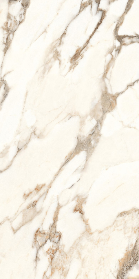 Gạch bóng 80x160 816LU816CABRGR - 816LU816CABRGR - map 1