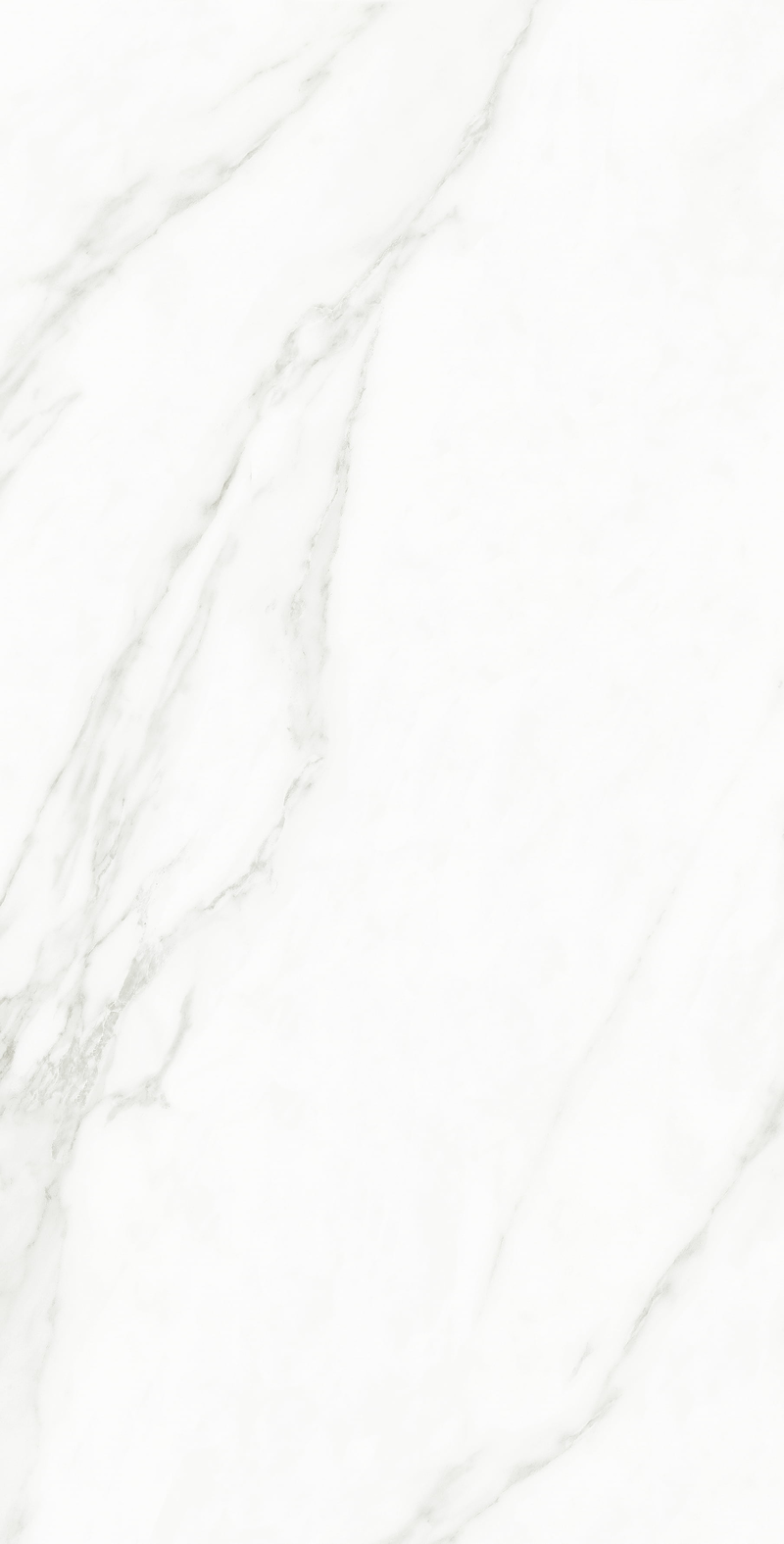 Gạch marble 80x160 816LUSATVARIO-BIANCO - 816LUSATVARIO-BIANCO - map 4