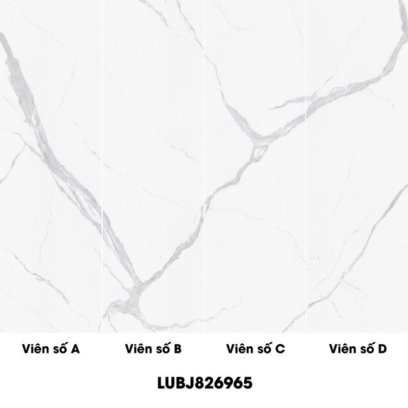 Gạch giả đá bóng 80×260 826LUBJS826904 - 826LUBJS826904 - map 1