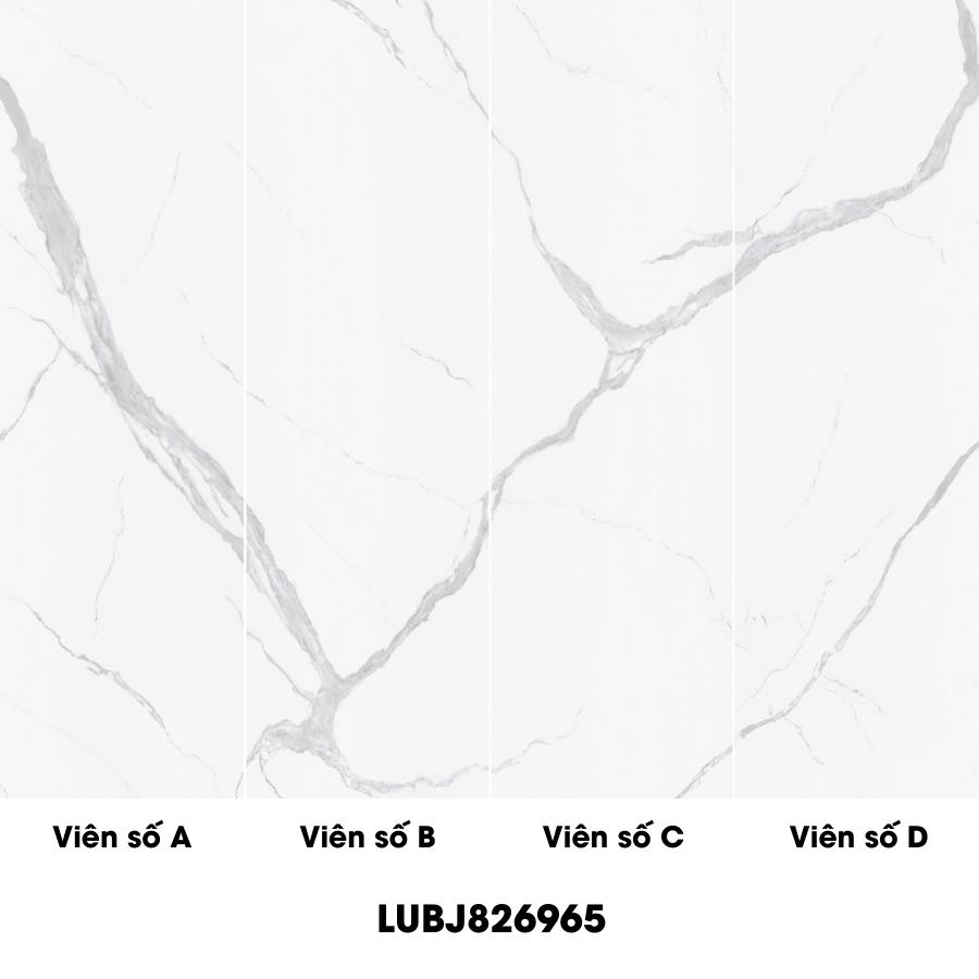 Gạch giả đá bóng 80×260 826LUBJS826904 - 826LUBJS826904 - map 1