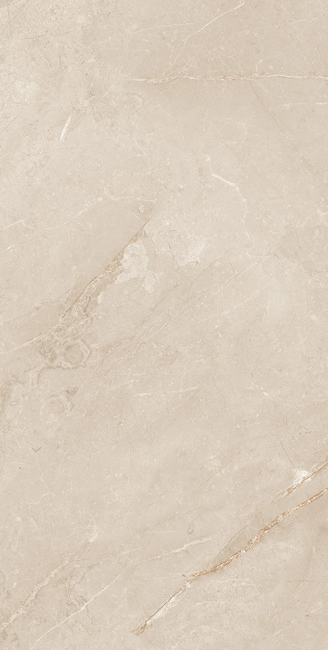 Gạch 30x60 CIN mờ vân đá - CIN - map 4